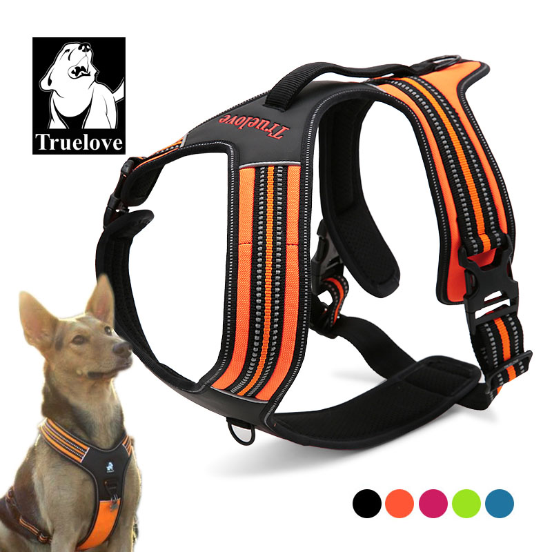 Outdoor Adventure Xl - トゥルーラブ スポーツ ナイロン 反射材付き ノープル 犬用ハーネス