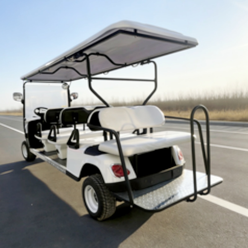 高性能電動ゴルフカート 4000Wモーター アドベンチャーと - Outdoor Adventure Golf のレビューと価格