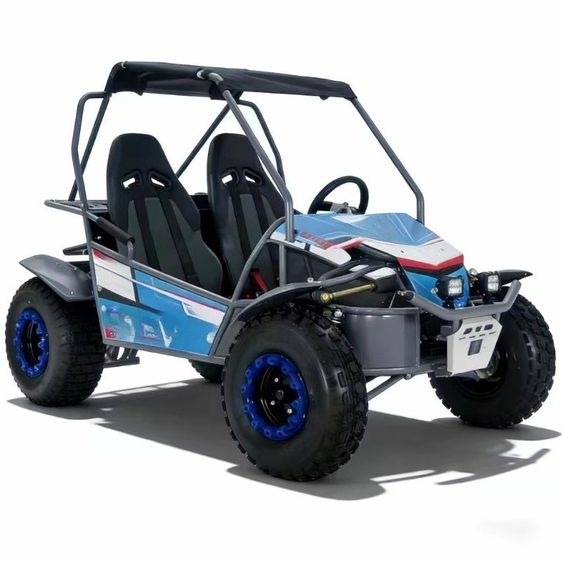 ホットセール 4ストローク 2人乗り ガソリンゴーカート 1 - Outdoor Adventure Utv のレビューと価格