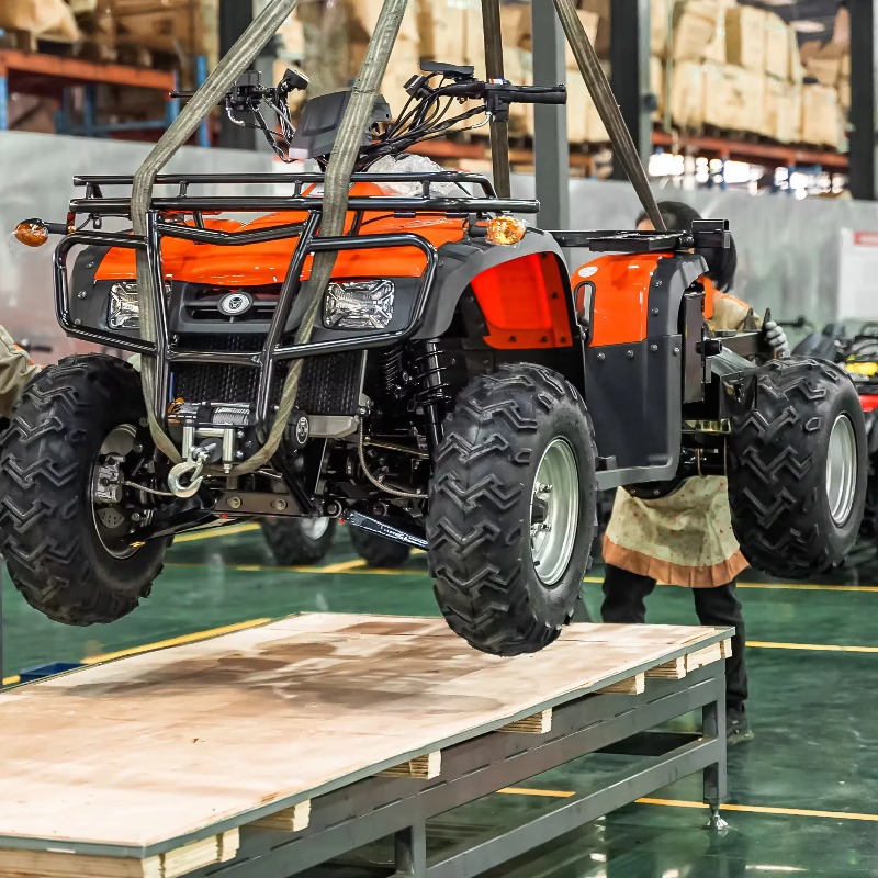 大容量ガス駆動の多人数乗車可能なUTVサイドバイサイド4x4 - Outdoor Adventure Utv のレビューと価格