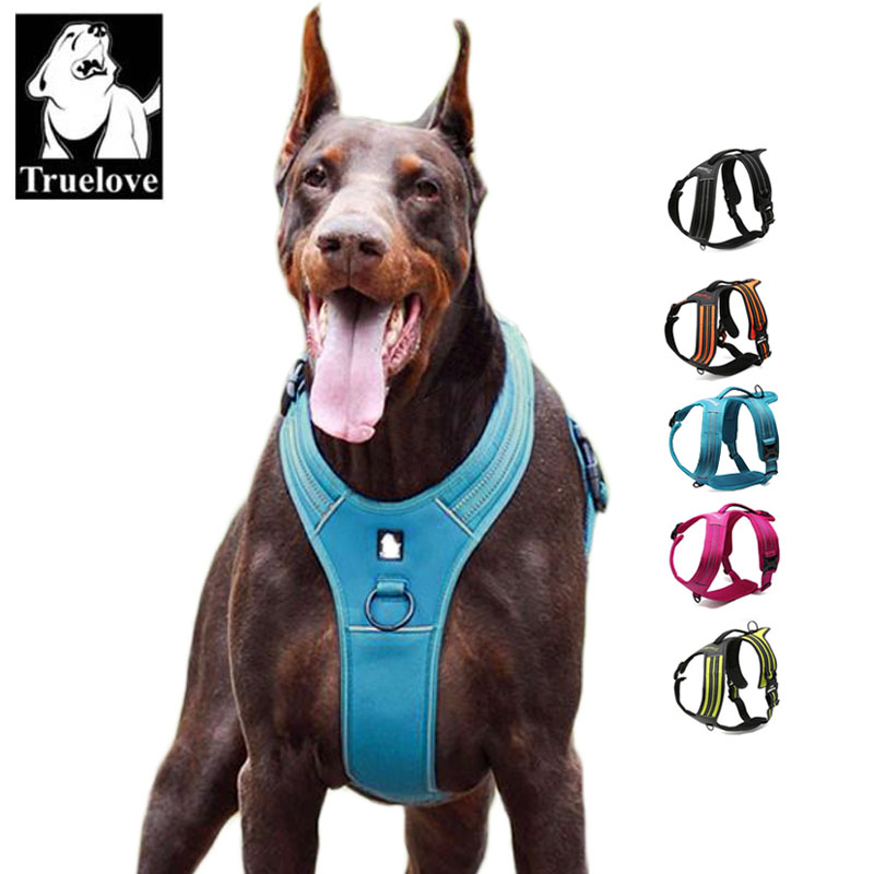 トゥルーラブ スポーツ ナイロン 反射材付き ノープル 犬用 - Outdoor Adventure Xl のレビューと価格