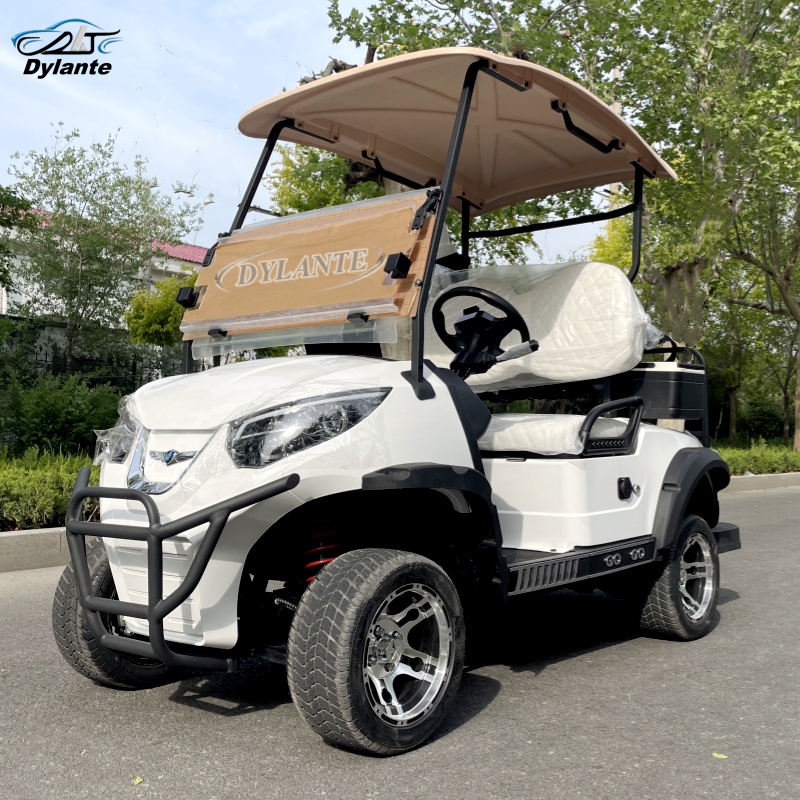中国製の低速電動ゴルフカートは、強力な5000Wモーターを搭 - Outdoor Adventure Golf のレビューと価格