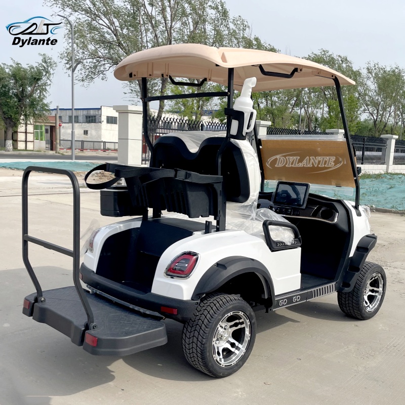 中国製の低速電動ゴルフカートは、強力な5000Wモーターを搭 - Outdoor Adventure Golf のレビューと価格